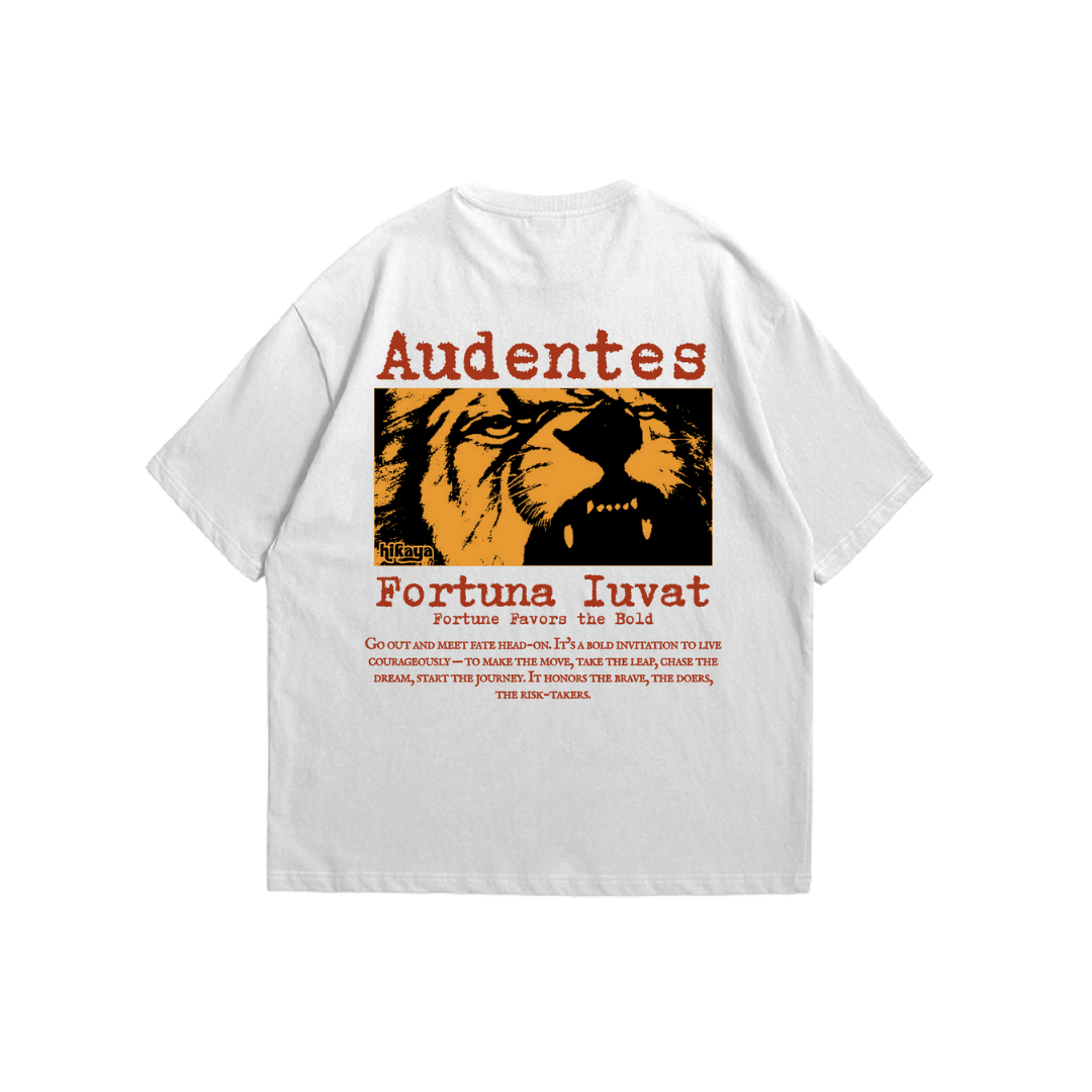 Audentes Fortuna Iuvat