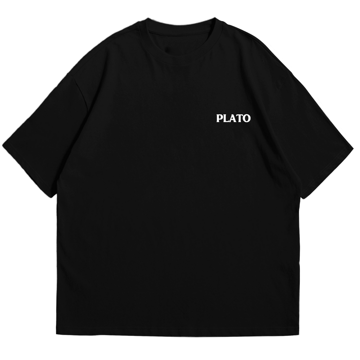 Plato Quote